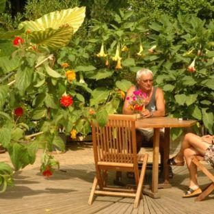 Installez-vous dans un cadre verdoyant et fleuri