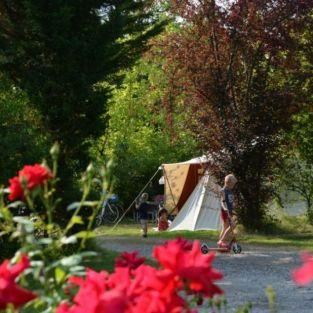 Des emplacements arborés et ombragés pour votre confort