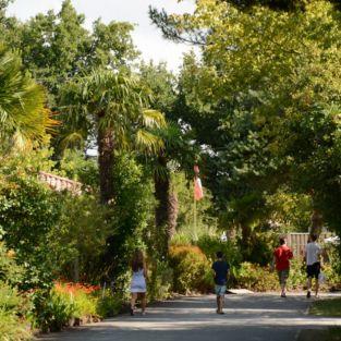 Une allée du camping dans le Bassin d'Arcachon