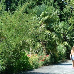 Bienvenue dans notre camping arboré en Gironde