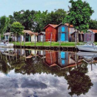 Partez à la découverte du Bassin d'Arcachon et de ses richesses naturelles