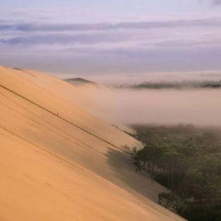 La dune au petit matin