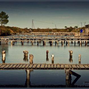 De nombreux ports ostréicoles autour du Bassin d'Arcachon