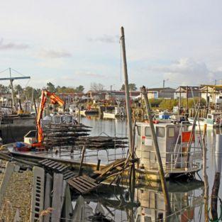 Visitez les nombreux ports ostréicoles