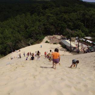 Parcourez la dune et admirez la vue qu'elle offre à son sommet