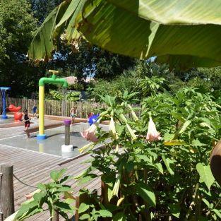 Jeux Aquatoons pour les enfants
