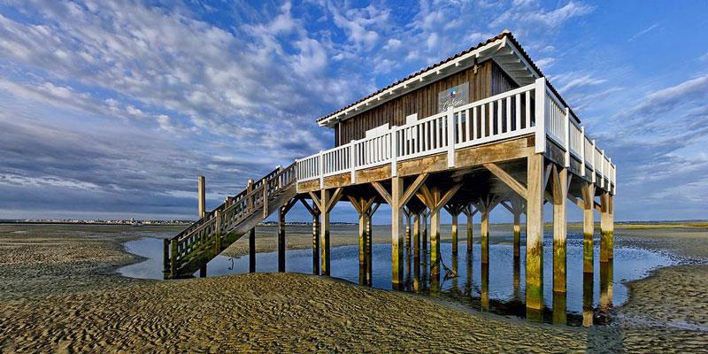 Une cabane tchanquée dans le bassin d'Arcachon