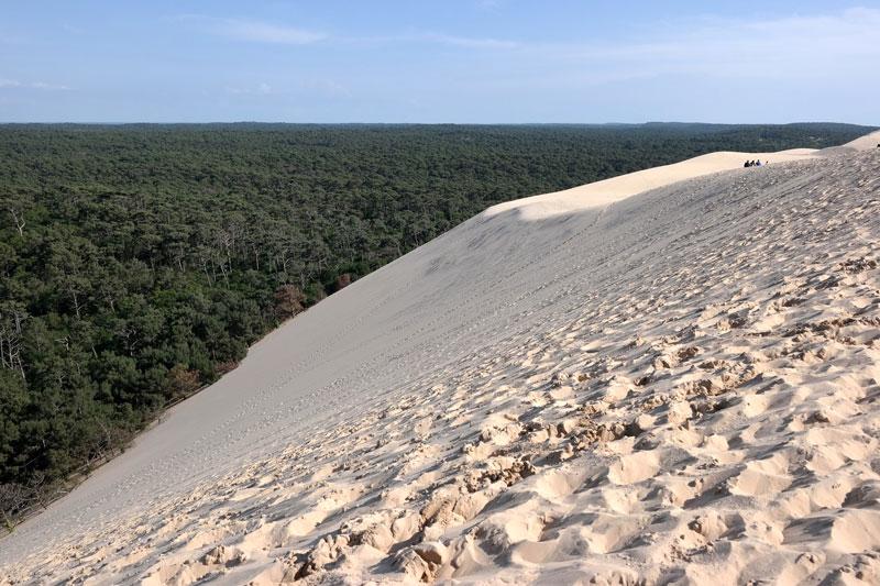 La Dune du Pyla depuis son sommet