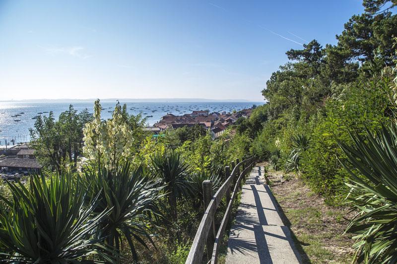 Chemin vers le bassin d'Arcachon sous le soleil