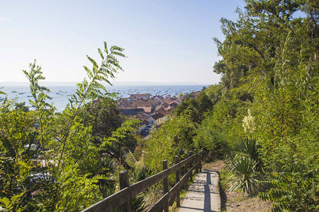 Visites Bassin d'Arcachon