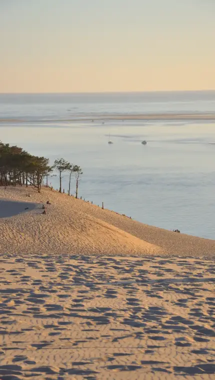 Dune de sable et océan au crépuscule.