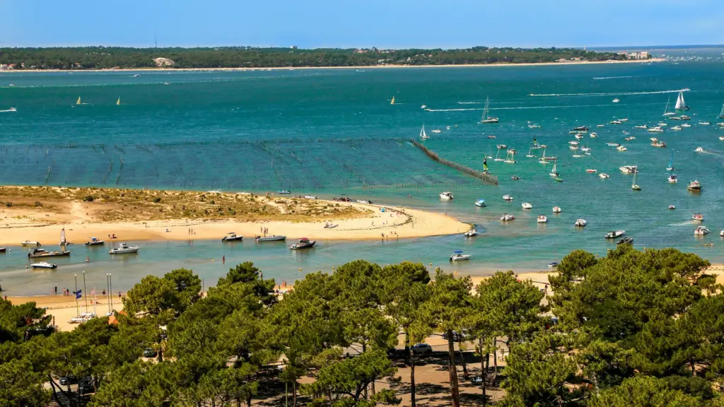 Plage avec bateaux, mer et forêt.