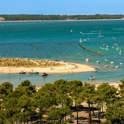 Plage avec bateaux, mer et forêt.