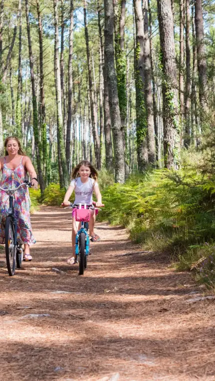 Deux personnes à vélo dans une forêt.