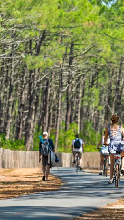 Personnes à vélo et à pied dans une forêt