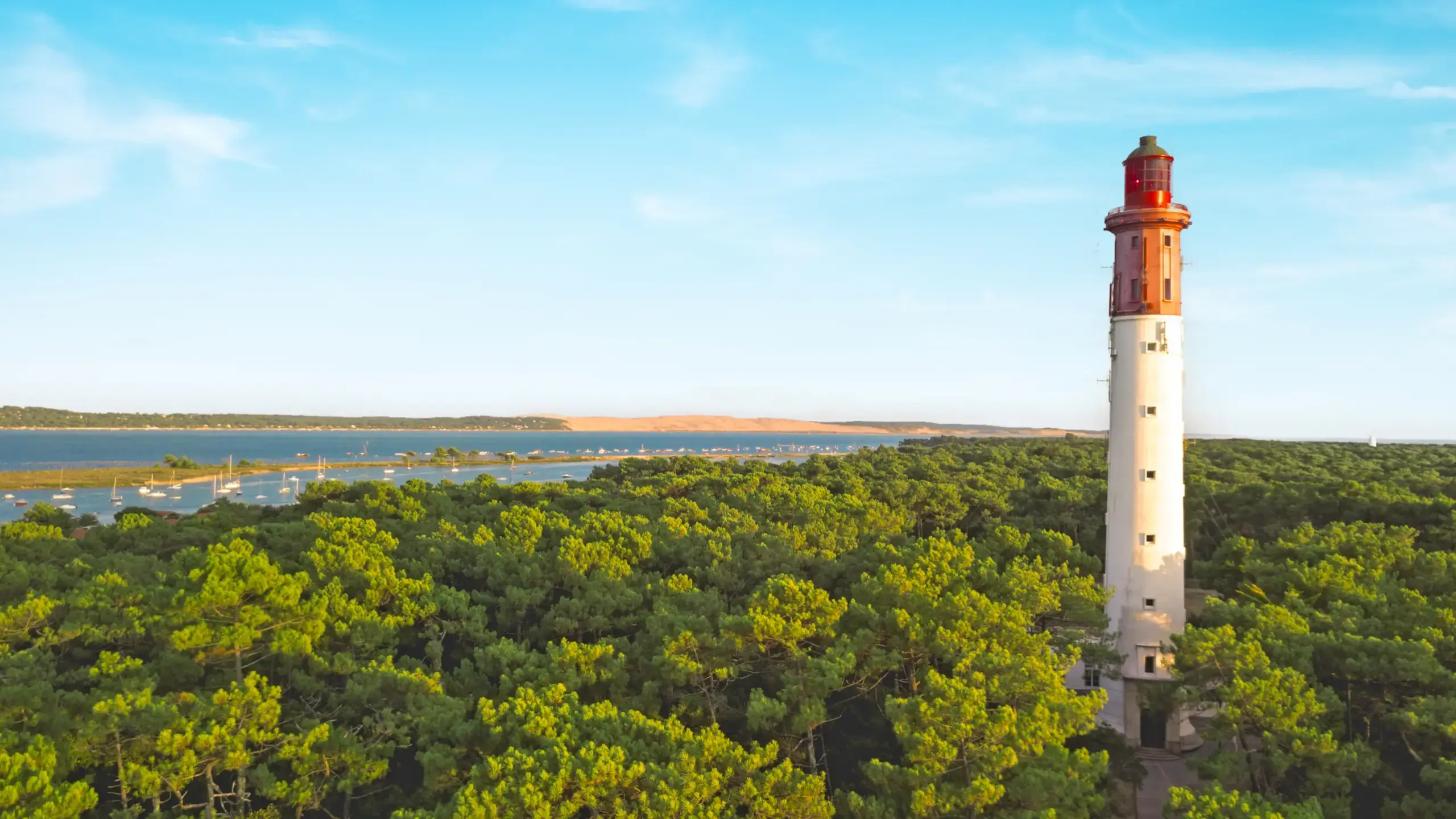 Phare blanc entouré de forêt et océan.