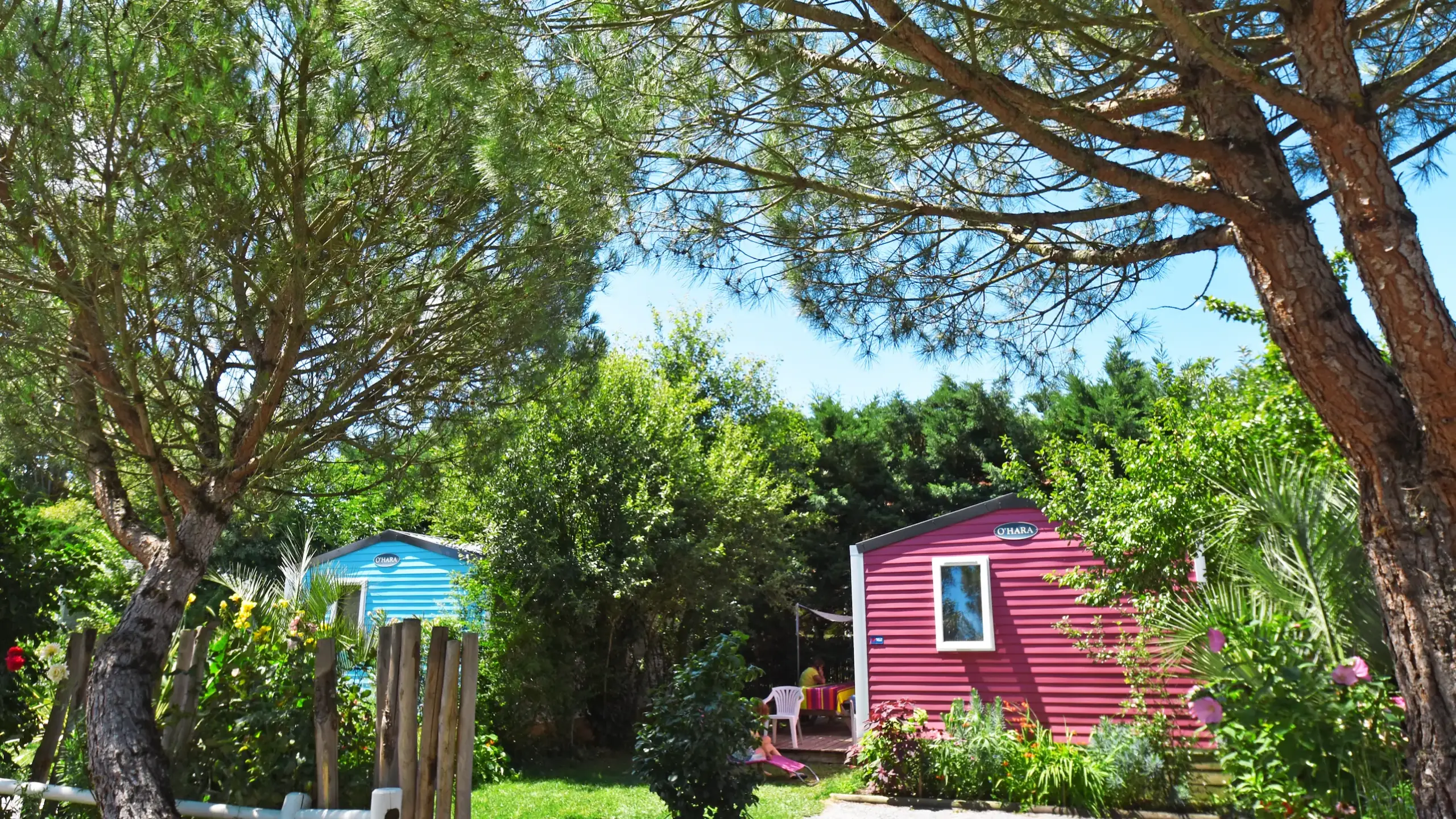 Mobil-homes colorés dans un cadre boisé