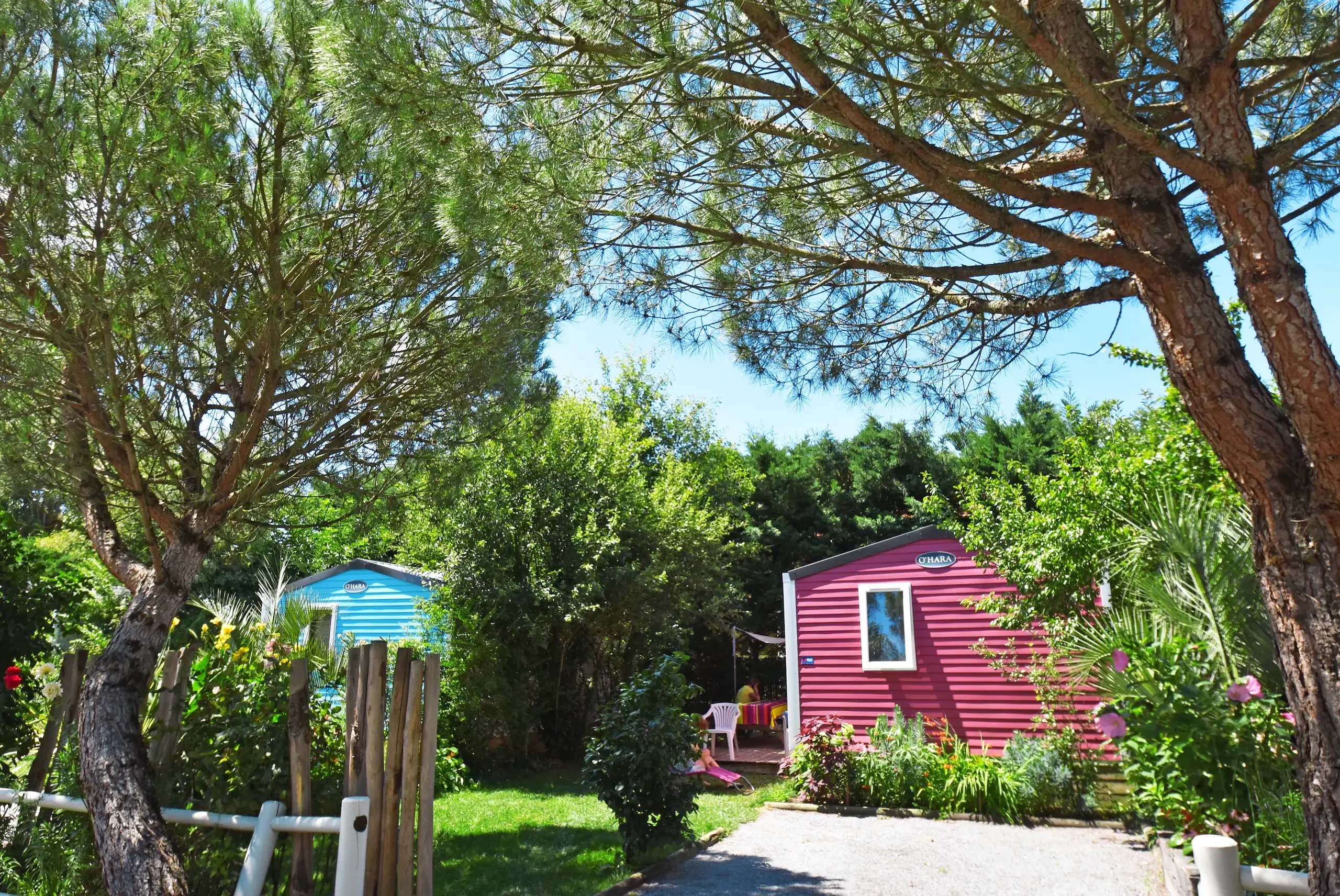 Mobil-homes colorés dans un cadre boisé