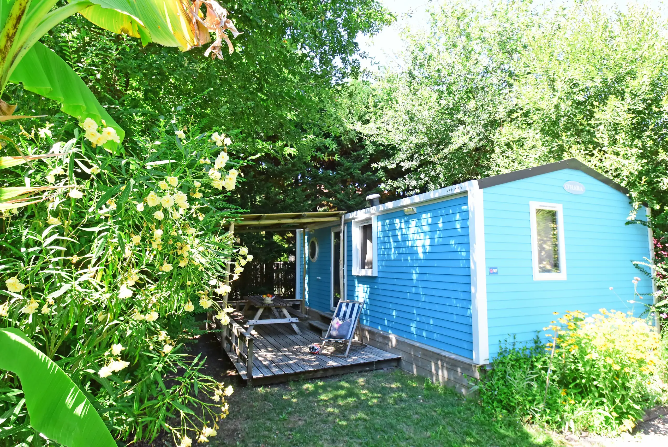 Chalet bleu entouré de verdure et fleurs jaunes