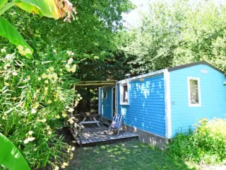 Chalet bleu entouré de verdure et fleurs jaunes