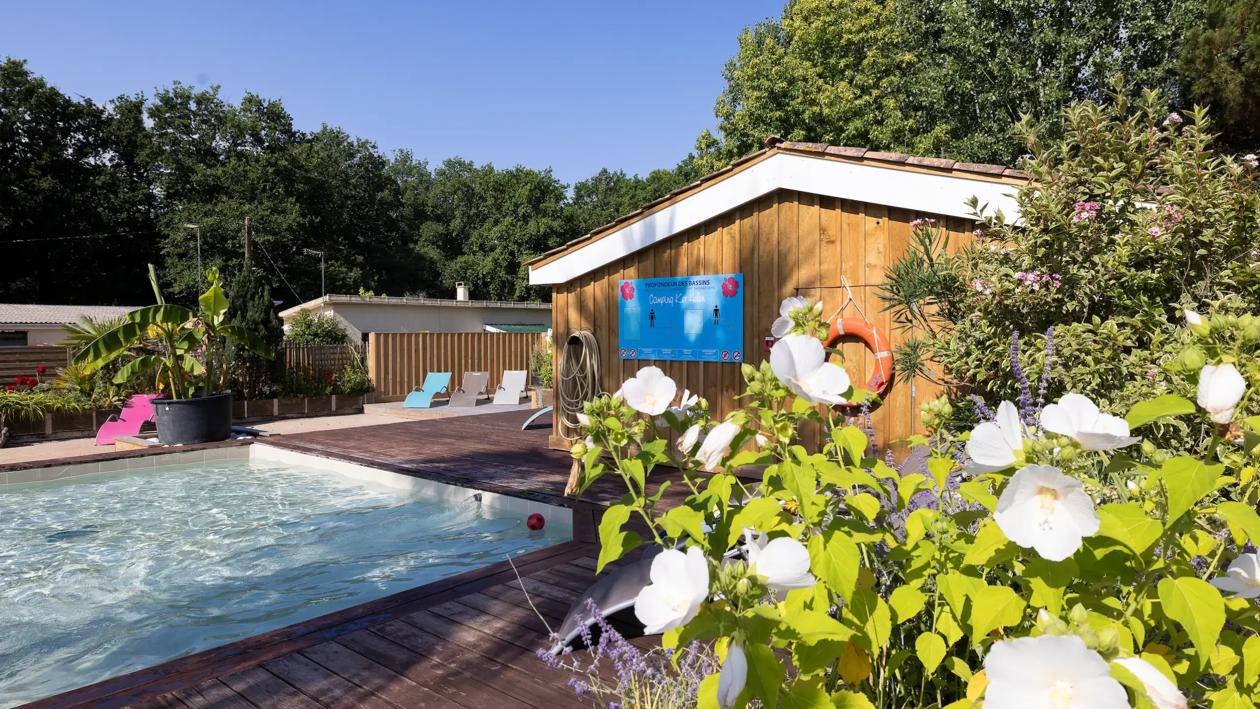 Piscine fleurie au camping près de la forêt.