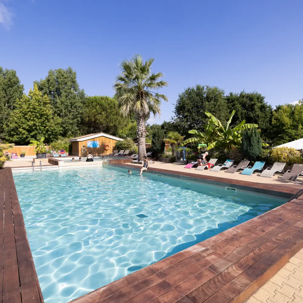 Piscine avec transats et palmiers en extérieur