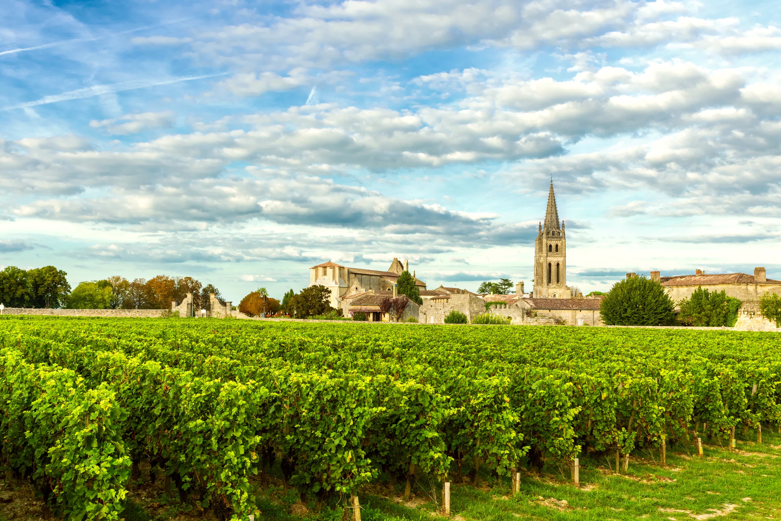 Vignobles et village avec église sous ciel nuageux.
