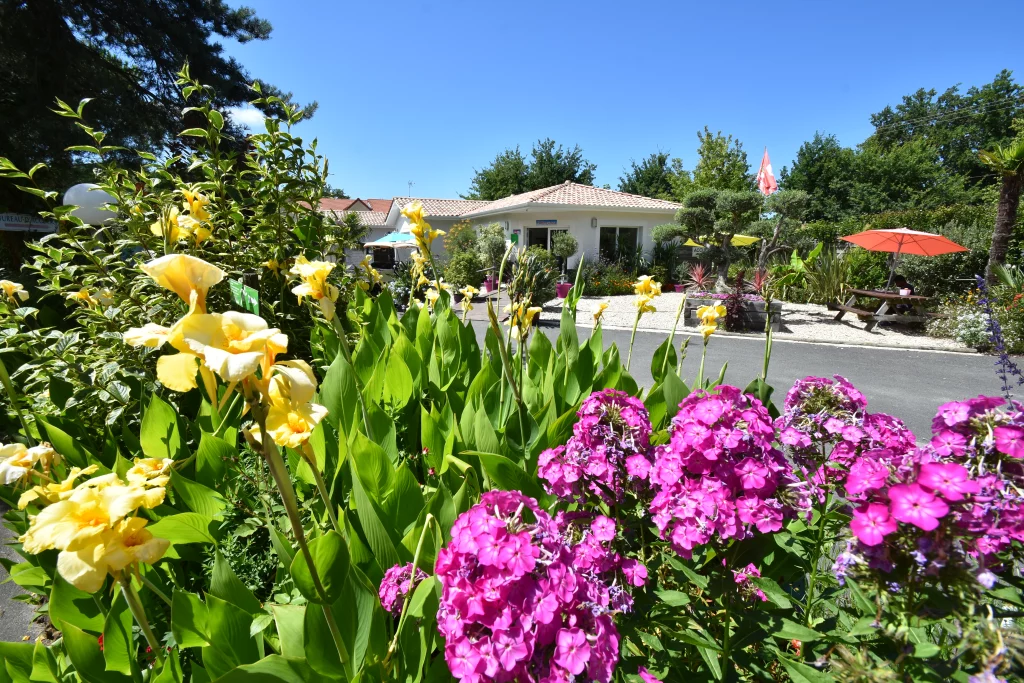 Fleurs colorées devant maison jardin ensoleillé.