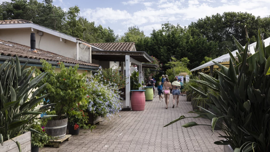 Personnes marchant dans une allée bordée de plantes