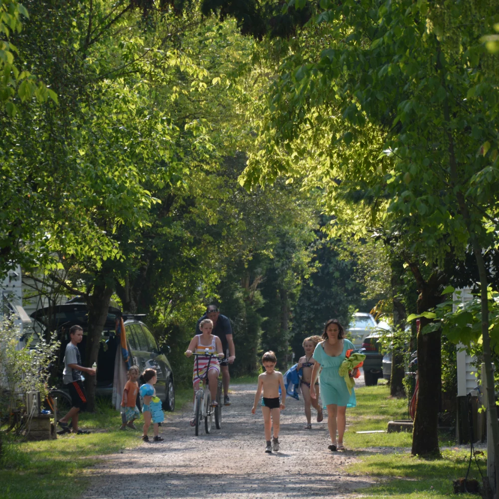 Famille marchant parmi les arbres dans un camping.