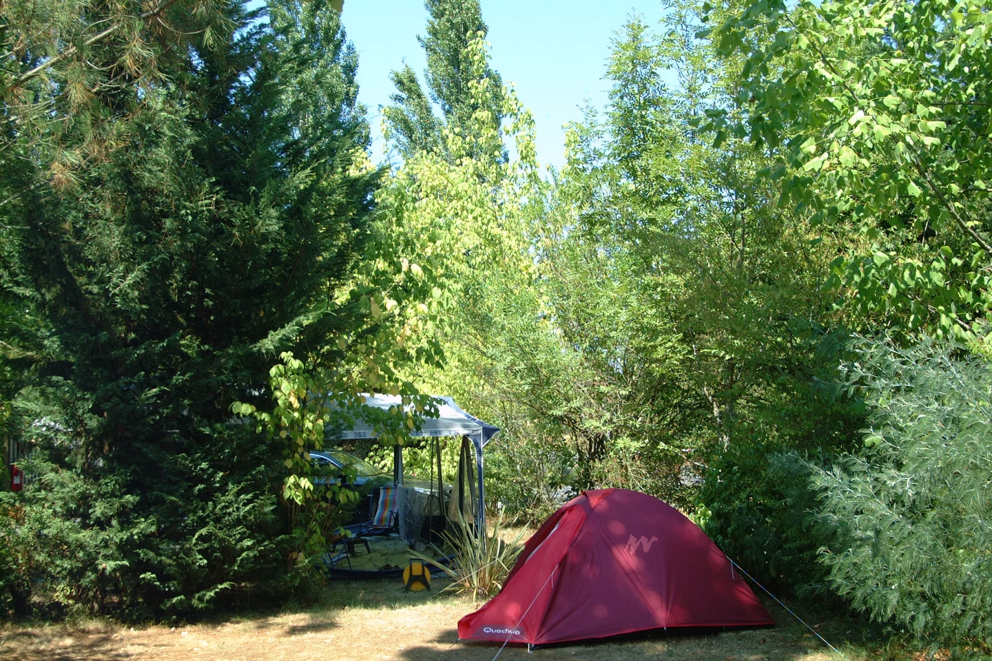 Tente rouge en camping dans la nature verdoyante