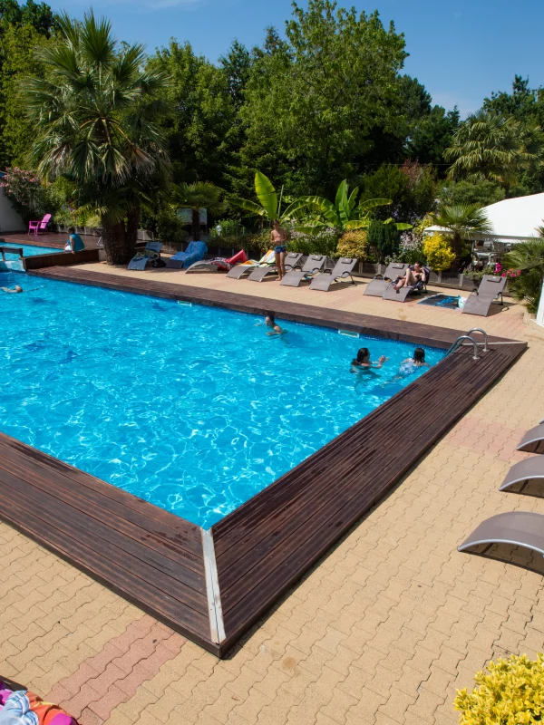 Piscine extérieure avec transats et palmiers