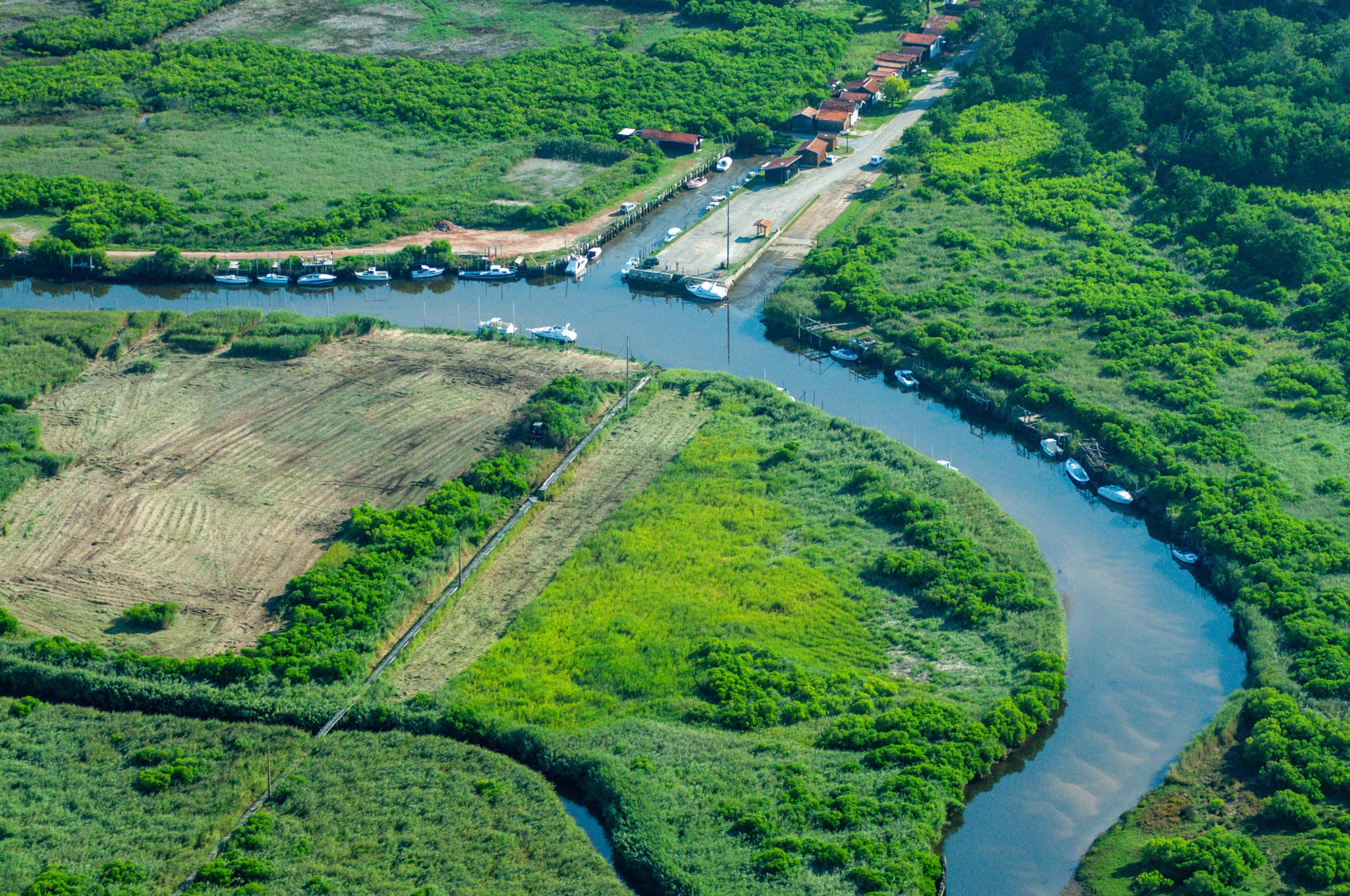 Vue aérienne d'une rivière et de la végétation