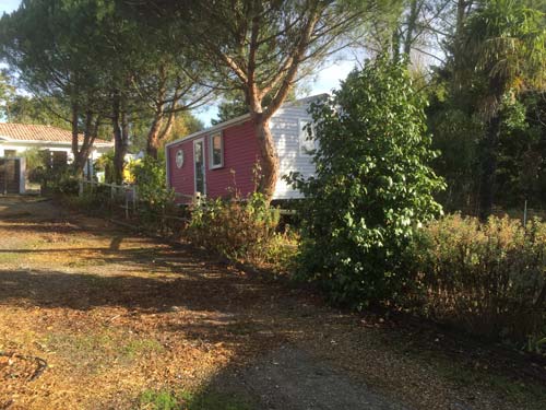 Maison mobile rouge entourée d'arbres soleil