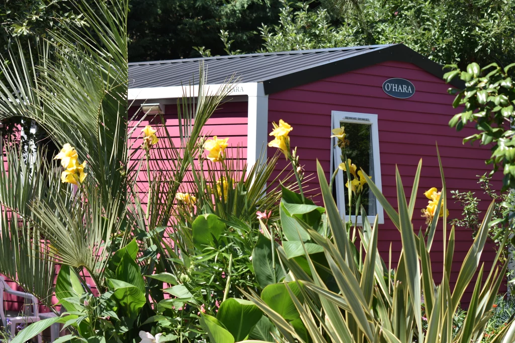 Cabane rose entourée de plantes et fleurs jaunes.