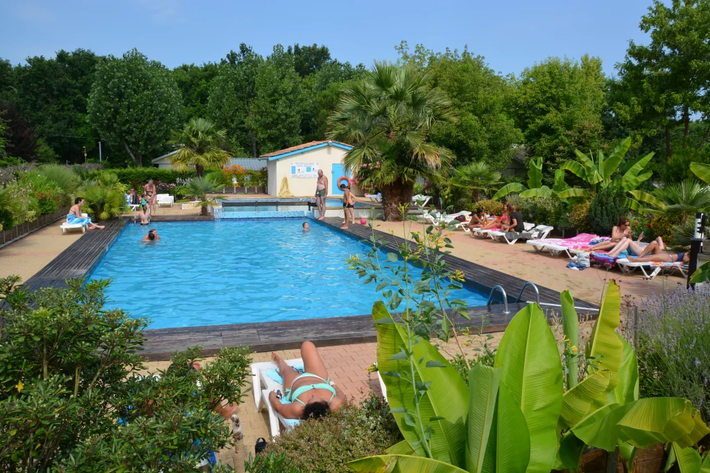 Piscine extérieure entourée de végétation luxuriante.