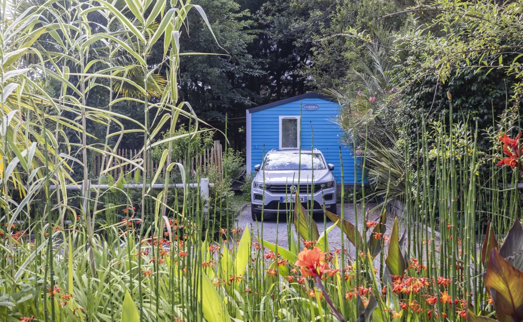 Voiture devant cabane bleue entourée de végétation.