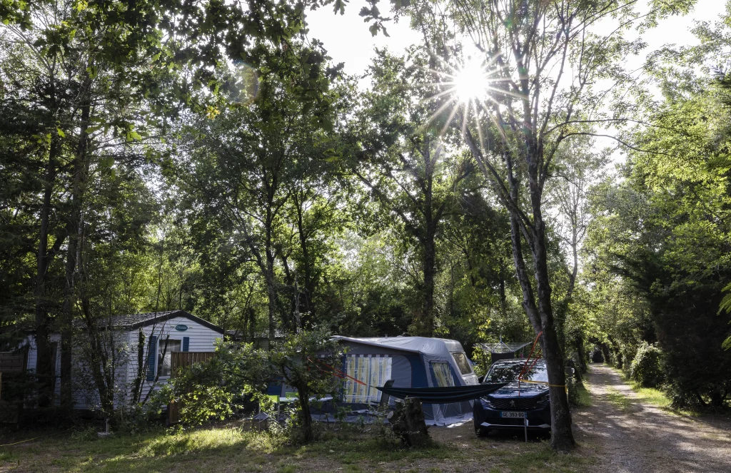 Camping-car sous les arbres avec soleil éclatant.