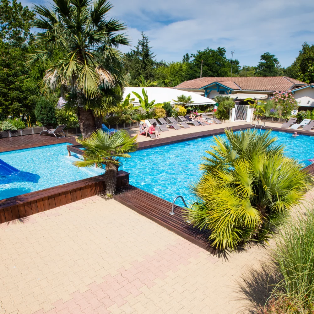 Piscine extérieure entourée de plantes et transats.