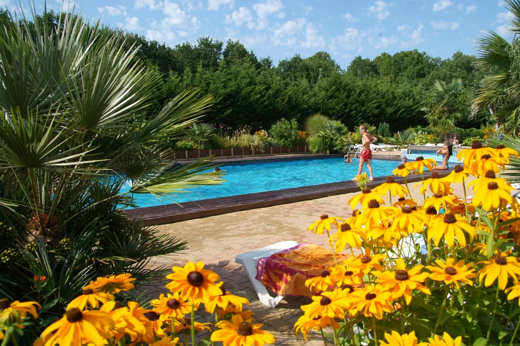 Piscine entourée de fleurs et arbres verts.