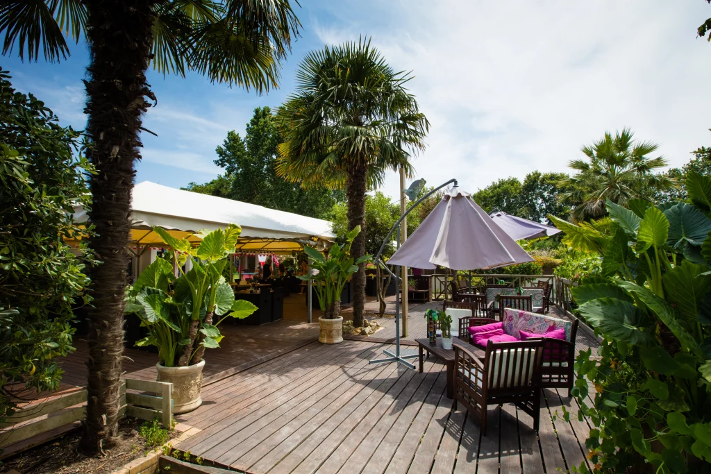 Terrasse jardin avec parasols et palmiers