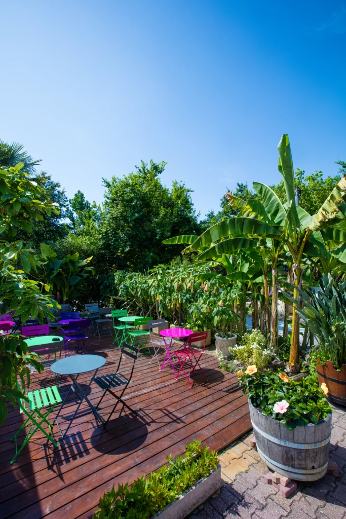 Terrasse en bois avec mobilier coloré et plantes tropicales.