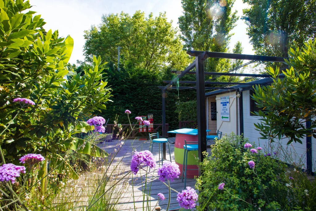 Terrasse ensoleillée avec fleurs violettes