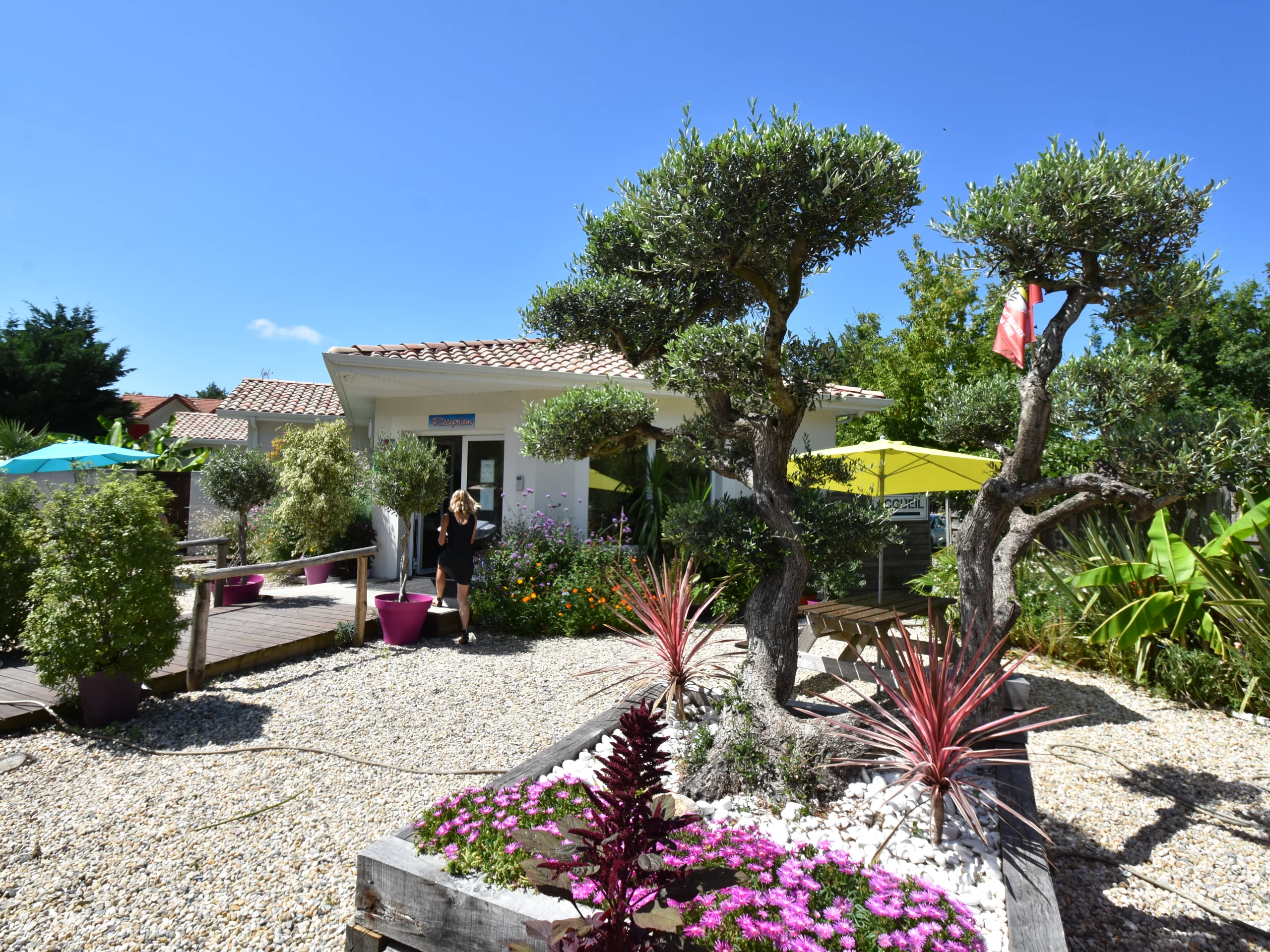Jardin coloré devant bâtiment moderne