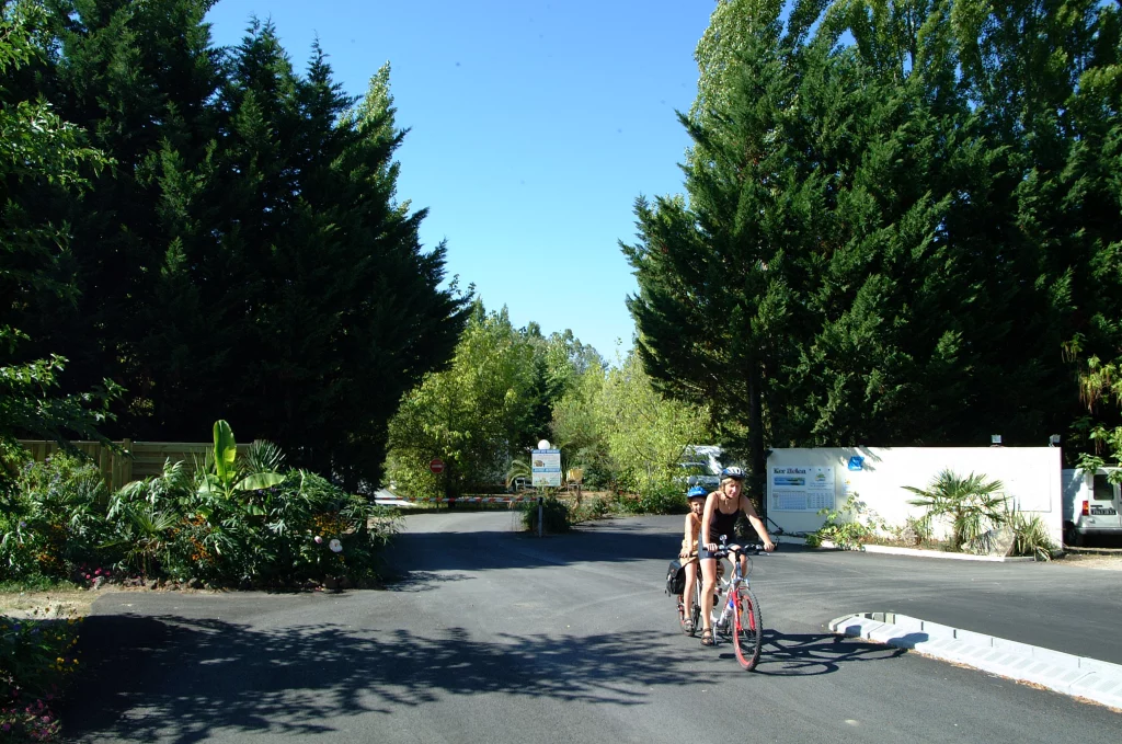 Cyclistes en tandem dans un cadre verdoyant.