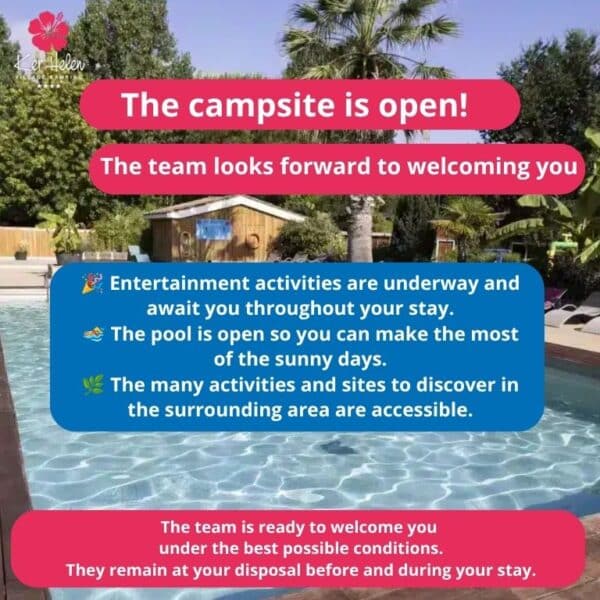 Piscine du camping entourée de palmiers