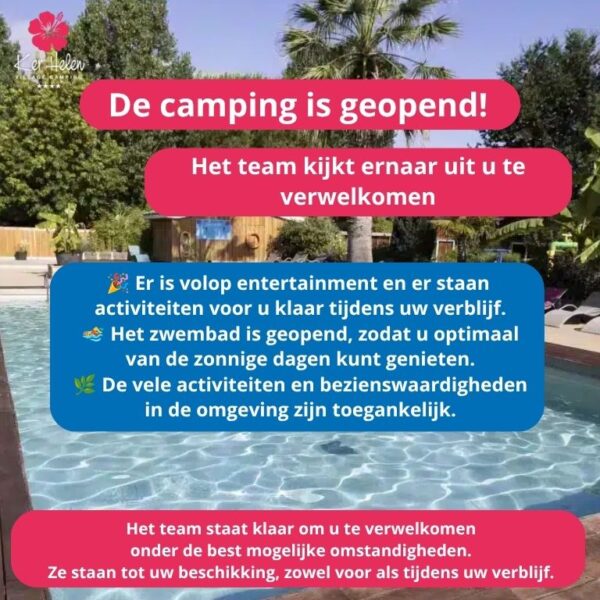 Piscine ensoleillée d’un camping entourée de palmiers